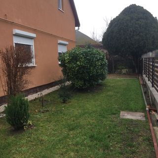 Kovács Apartment Balatonboglár (4)