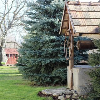 Bakony Tornáca Vendégház Bakonypéterd (4)