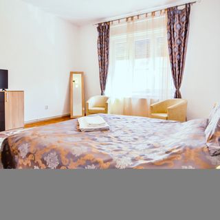 Ivy Residence Sibiu (4)