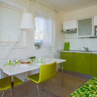 Apartmány Zelená Zahrada Mladá Vožice (5)