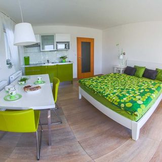 Apartmány Zelená Zahrada Mladá Vožice (3)