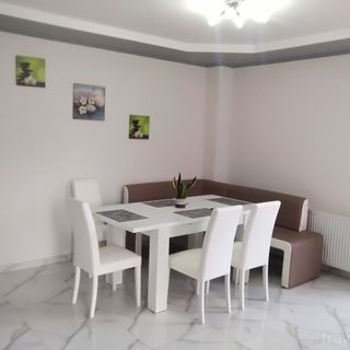 Pensiunea Roberto Sovata (2)