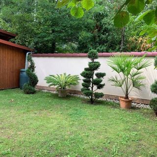 Anna Vendégház Zamárdi (3)