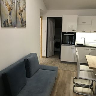 Fészek Apartman Balatonudvari (4)