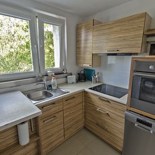 Apartament Dębowy Poznań blisko centrum (3)
