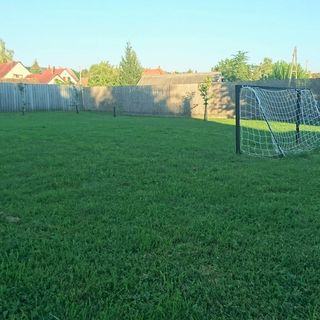 Blaha Apartman Siófok (3)