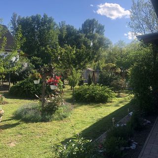 Anna Apartman Látrány (3)