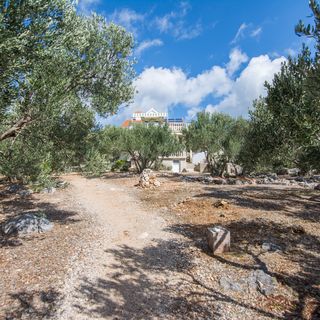 House Motar Zdrelac (3)