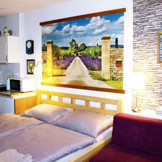 Apartmá Za kopcem Chrudichromy (3)