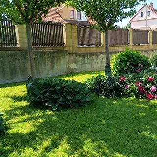 Villa Oliva Český Krumlov (4)