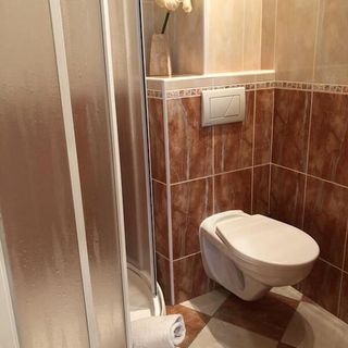 Apartmán Orchidej U Vřídla Karlovy Vary (4)