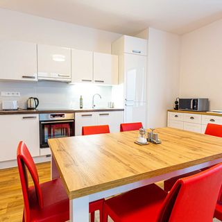 Ski Chalet Klinovec Loučná pod Klínovcem (5)