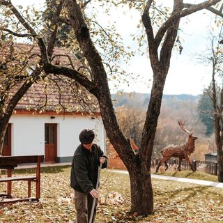 GLASHÜTTE Kisújbánya Vadászház Hosszúhetény (2)