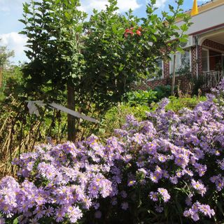 Apartmani Crnčić D. Šilo (2)