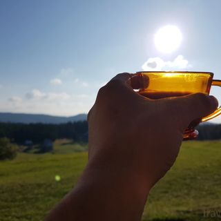 Cabana Poiana Dealu Frumos (3)