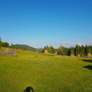 Cabana Poiana Dealu Frumos (4)