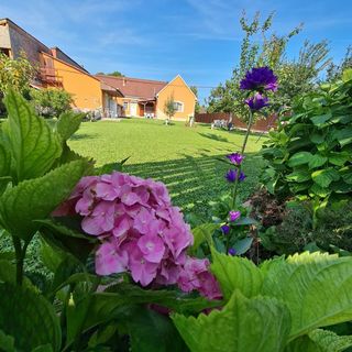 Manyi Vendégház Eger (3)