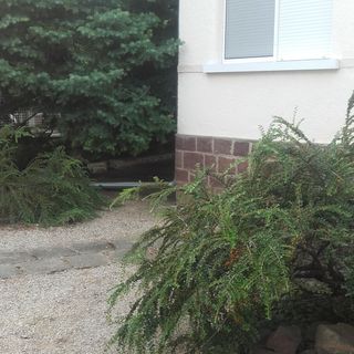 Enzír Vendégház Vonyarcvashegy (5)