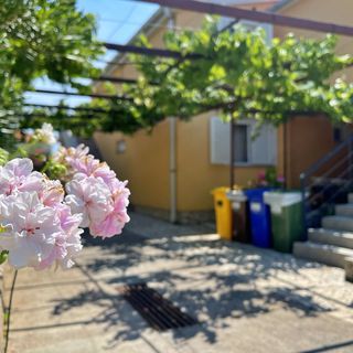 Apartmani Mara Šilo (4)