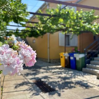 Apartmani Mara Šilo (4)