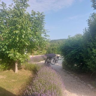 Spaletta Vendégház Pécsely (4)