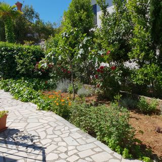 Apartman Anđelko Šilo (5)