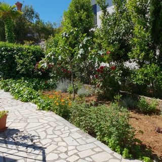 Apartman Anđelko Šilo (5)