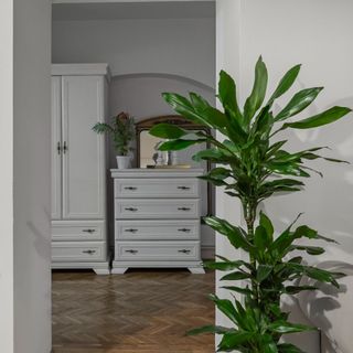 Apartament Valentina Brașov (4)