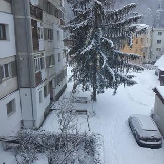 Apartament Eva Slănic Moldova (4)