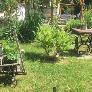 Kertuccahat Apartman Badacsonytomaj (5)