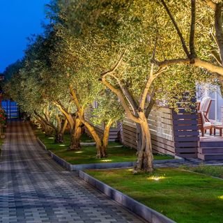 Mobile home Pecten Exclusive 1 Pakostane (3)