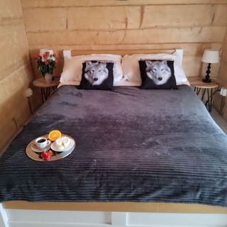 Willa Białego Wilka Zawoja (2)