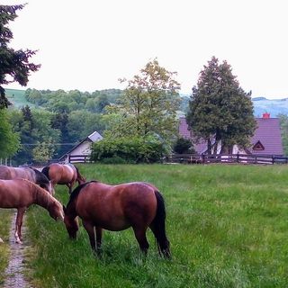 Dom na Krzemienicy Izdebki (4)