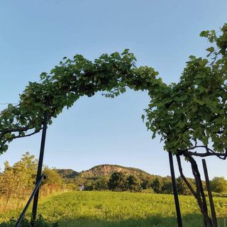 Bencze Pincze Bádogtetős Vendégház Nemesgulács (5)