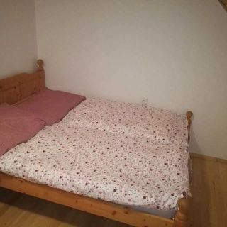 Roubenka na Kopečku Zlatá Olešnice (3)