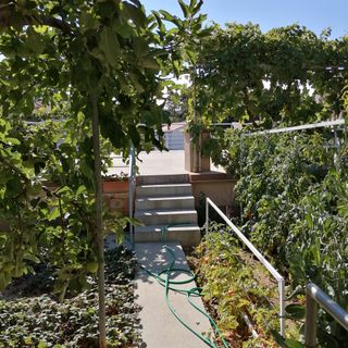 Apartmanok A Tenger Mellett Rab - 18363 (4)