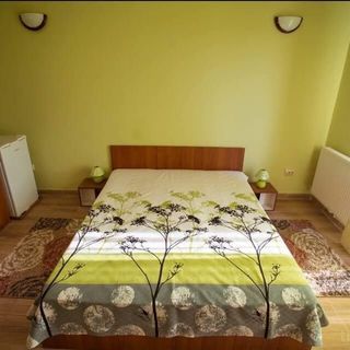 Vila Victor - Adults only Techirghiol (2)