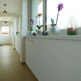 Casa Lacul Doamnei Ocnele Mari (3)