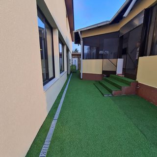 Pensiunea Lebădalux Dunavățu de Jos (2)