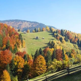 Pensiunea Guesthouse Bran Șimon (2)