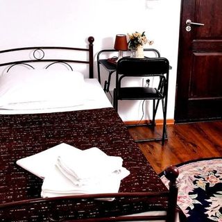 Pensiunea Venus Timișoara (2)