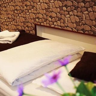 Pensiunea Venus Timișoara (3)