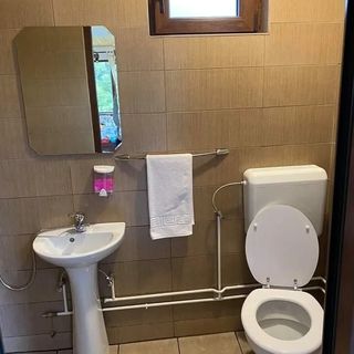 Casa de vacanță Panoramic View Rucăr (3)