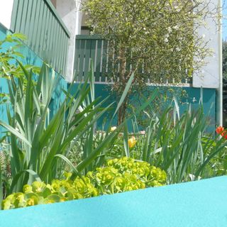 Labdarózsa Apartmanház Fonyód (3)