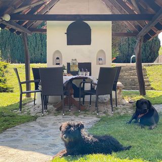 Sárkány Bio Panzió Csöde (4)