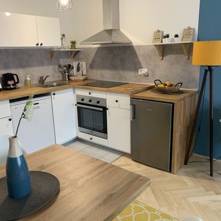 Apartman Cosy With Garage Zagreb (5)