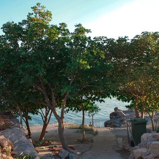 Aton Apartmani Ribarica (4)