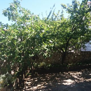 Apartman Ema Okrug Gornji (5)