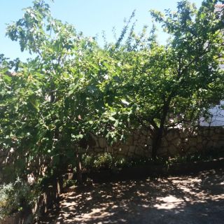 Apartman Ema Okrug Gornji (5)