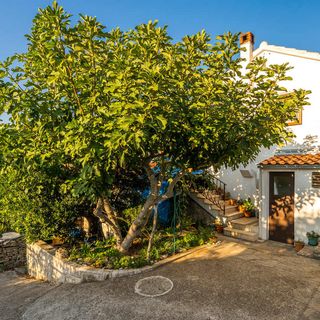 Apartman Fortuna Šolta (5)